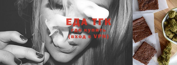 шишки Гусиноозёрск