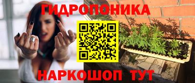 спиды Краснознаменск