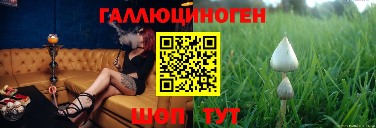 Галлюциногенные грибы мицелий  Вход с VPN  Псилоцибиновые грибы Psilocybine cubensis  Новый Уренгой 